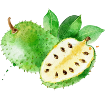 Guanabana