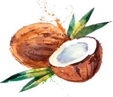 Coconut