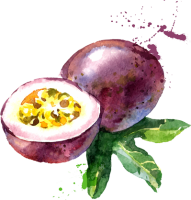 Passion Fruit